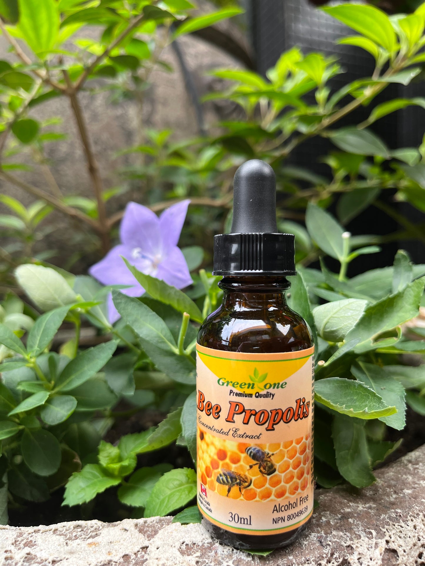 GreenOne 加拿大蜂膠滴劑
